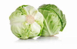 包菜